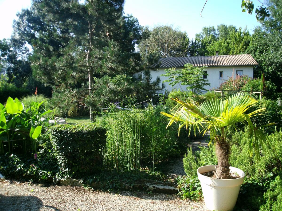 Bed and Breakfast Le Bord De L'Eau Sainte-Terre Экстерьер фото